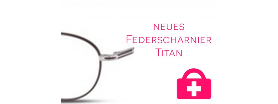 neues Federscharnier - Titanbrille